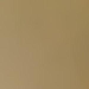 Meet your Posher, Dina